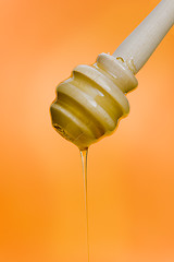 Image showing Honey stick