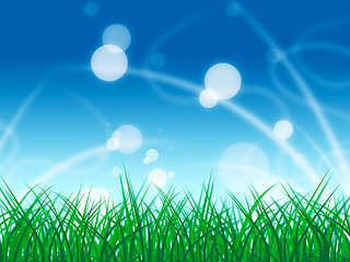 Image showing Grass Landscape Shows Light Burst And Bright