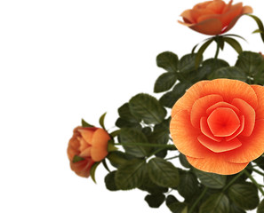 Image showing Copyspace Roses Represents Flora Romance And Bloom