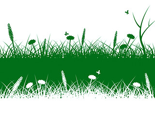 Image showing Nature Grass Means Lawn Scenic And Rural