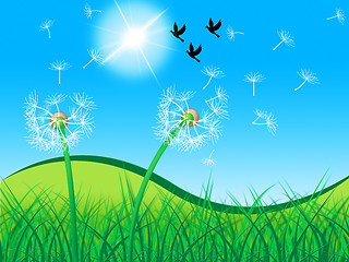 Image showing Grass Birds Shows Dandelion Seeds And Countryside