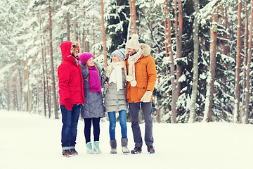 Image showing group of smiling men and women in winter forest