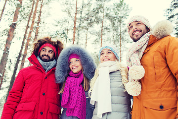 Image showing group of smiling men and women in winter forest