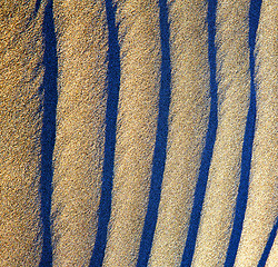 Image showing lanz spain abstract  sand dry and lichens 