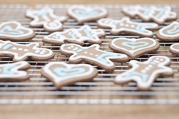 Image showing Gingerbread cookies - selective focus