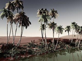 Image showing African oasis