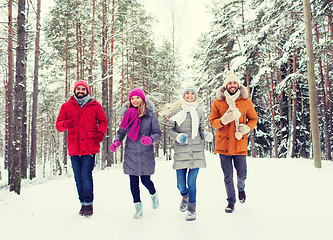 Image showing group of smiling men and women in winter forest