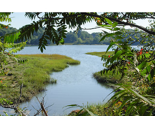 Image showing riverside scenery