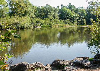 Image showing riverside scenery