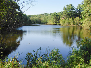 Image showing riverside scenery