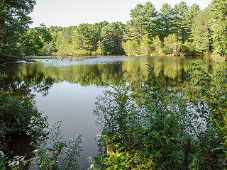 Image showing riverside scenery