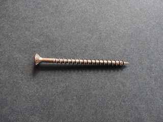 Image showing Wood screw