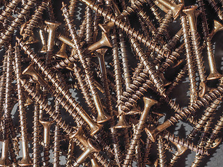 Image showing Wood screw