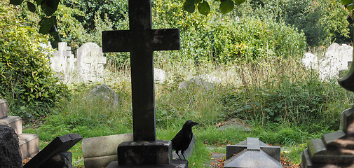 Image showing Tombs and crosses at goth cemetery