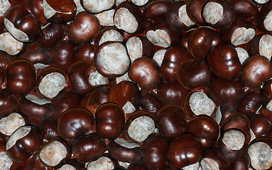 Image showing chestnuts fruits of