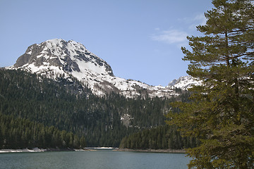 Image showing Black lake in Montenegro