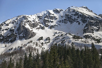 Image showing National park Durmitor, Serbia