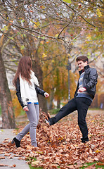 Image showing autumn couple