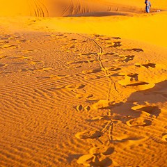 Image showing sunshine in the desert of morocco sand and dune