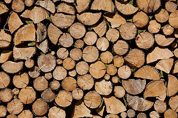 Image showing Log Pile