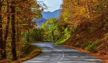 Image showing Autumn Road