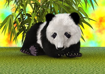 Image showing Panda Bear Cub