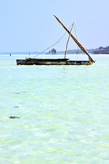 Image showing beach   in zanzibar seaweed  pier