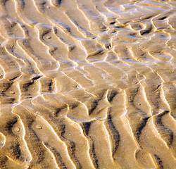 Image showing dune morocco in africa brown coastline wet sand beach near atlan