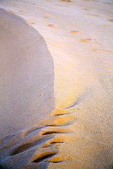 Image showing  brown sand dune   desert 