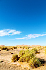 Image showing mountain old fossil in morocco sahara     sky