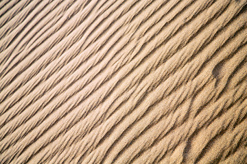 Image showing africa   brown sand     sahara morocco desert