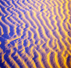 Image showing africa the brown sand dune in   sahara morocco desert line