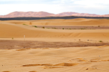 Image showing mountain old fossil in  the desert of      sky