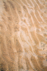 Image showing   brown   dune     sahara morocco desert 
