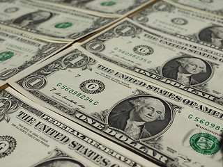 Image showing Dollar notes 1 Dollar