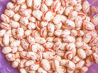 Image showing Retro looking Cranberry beans