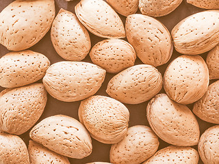 Image showing Retro looking Almond fruit