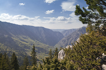 Image showing Canyon of river Tara, Montenegro