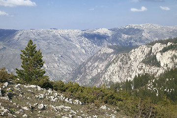 Image showing Canyon of river Tara, Montenegro