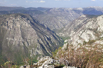 Image showing Canyon of river Tara, Montenegro