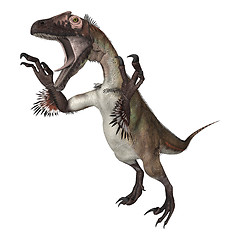 Image showing Dinosaur Utahraptor