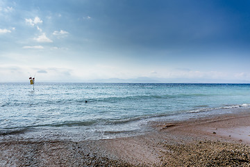 Image showing Plantations of seaweed on beach, Algae at low tide