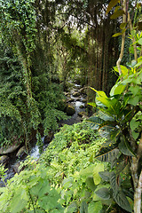 Image showing river landscape in temple Gunung Kawi