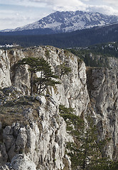 Image showing Canyon of river Tara, Montenegro