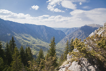 Image showing Canyon of river Tara, Montenegro