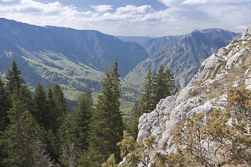 Image showing Canyon of river Tara, Montenegro