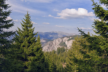 Image showing Canyon of river Tara, Montenegro