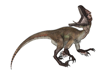 Image showing Dinosaur Utahraptor