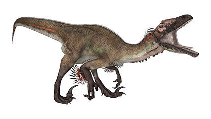 Image showing Dinosaur Utahraptor