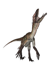 Image showing Dinosaur Utahraptor